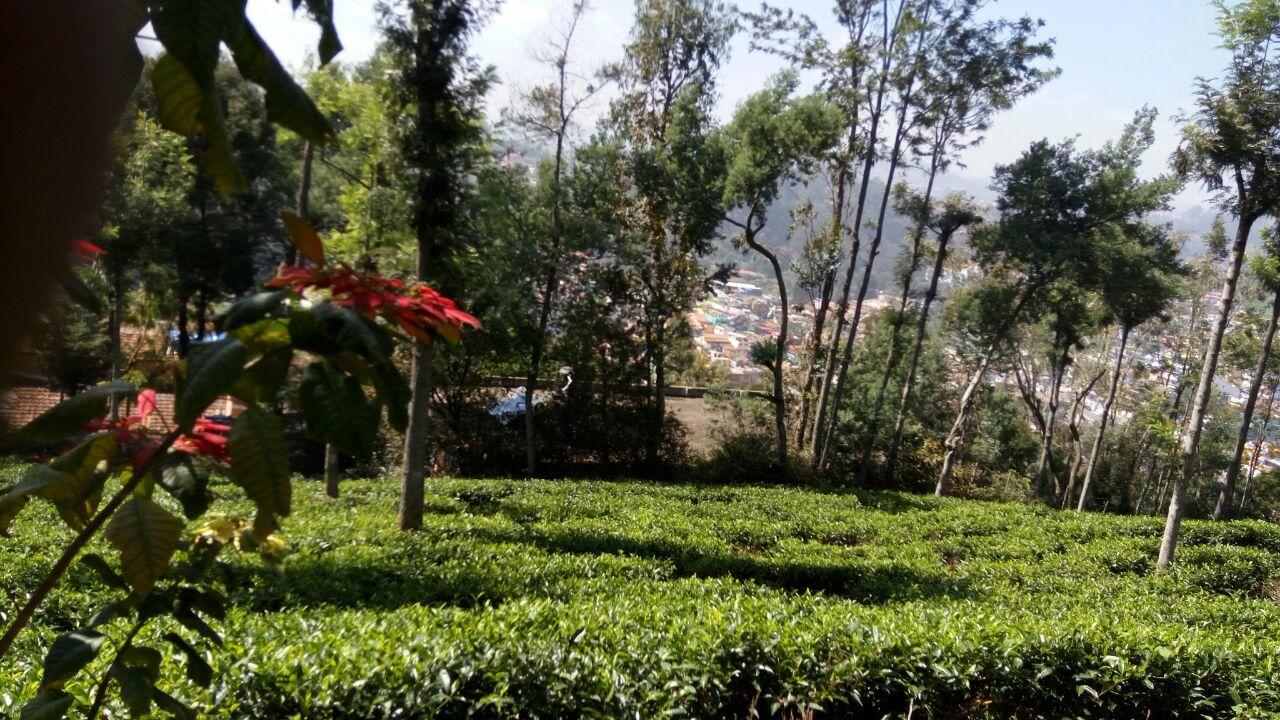 Ywca Wyoming Otel Coonoor Dış mekan fotoğraf
